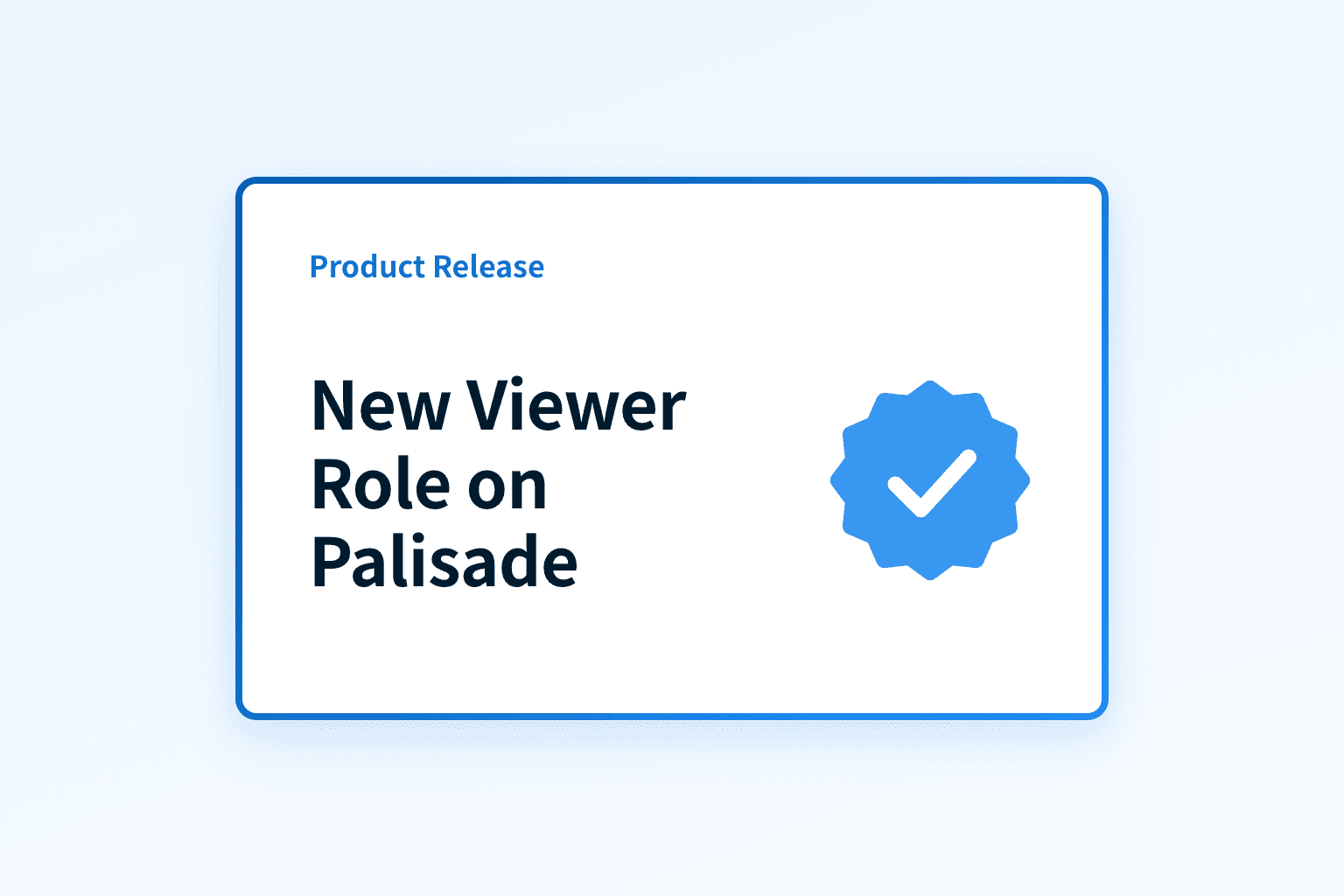 What is the new Viewer role on the Palisade platform?