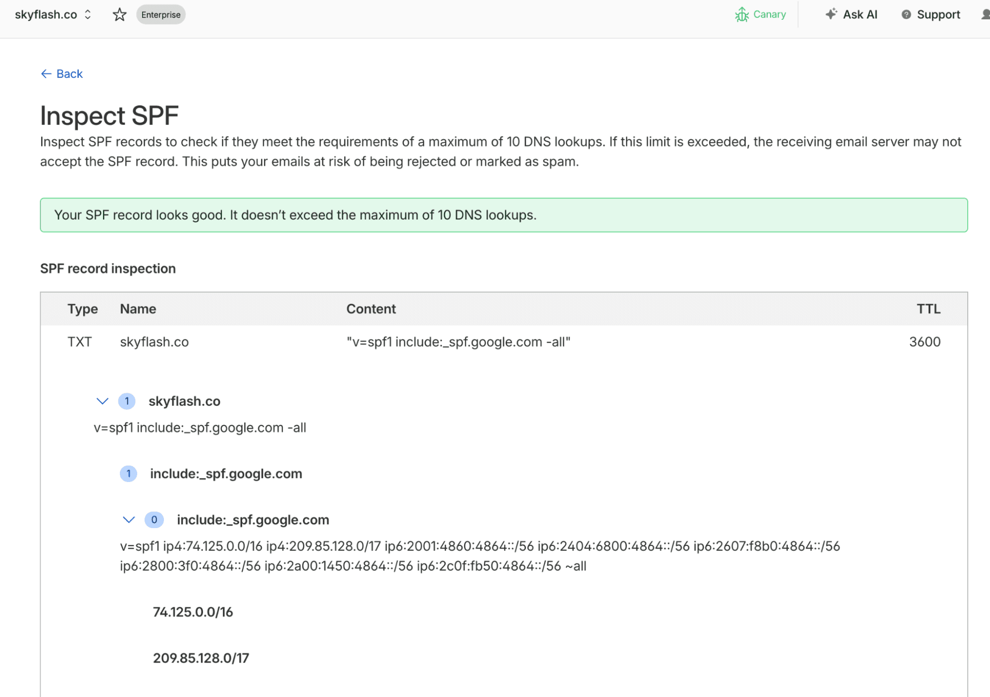Cloudflare Inspect SPF page showing a valid SPF record, its DNS lookup count, and the expanded Google include chain and IP ranges