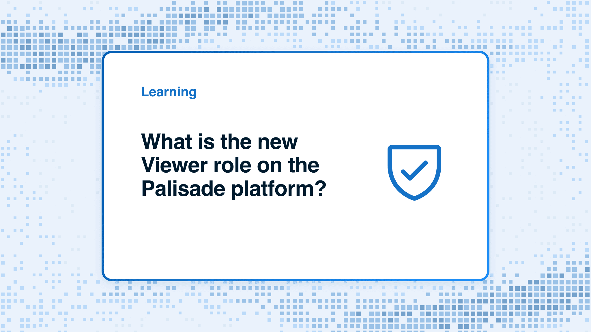 What is the new Viewer role on the Palisade platform?
