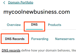 GoDaddy domain settings with the DNS tab and the DNS Records section highlighted.