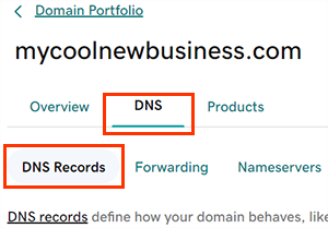 GoDaddy domain settings with the DNS tab highlighted