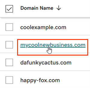 GoDaddy Domain Portfolio with an individual domain selected