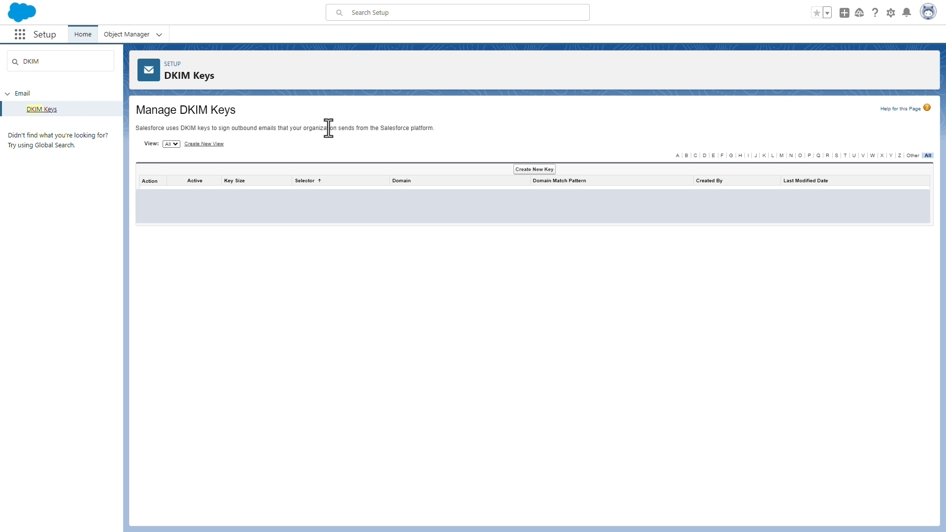 Salesforce Setup DKIM Keys page showing the Manage DKIM Keys table and Create New Key control, with demo-row values redacted.