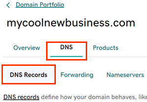 GoDaddy Domain Portfolio view showing the DNS option for a selected domain