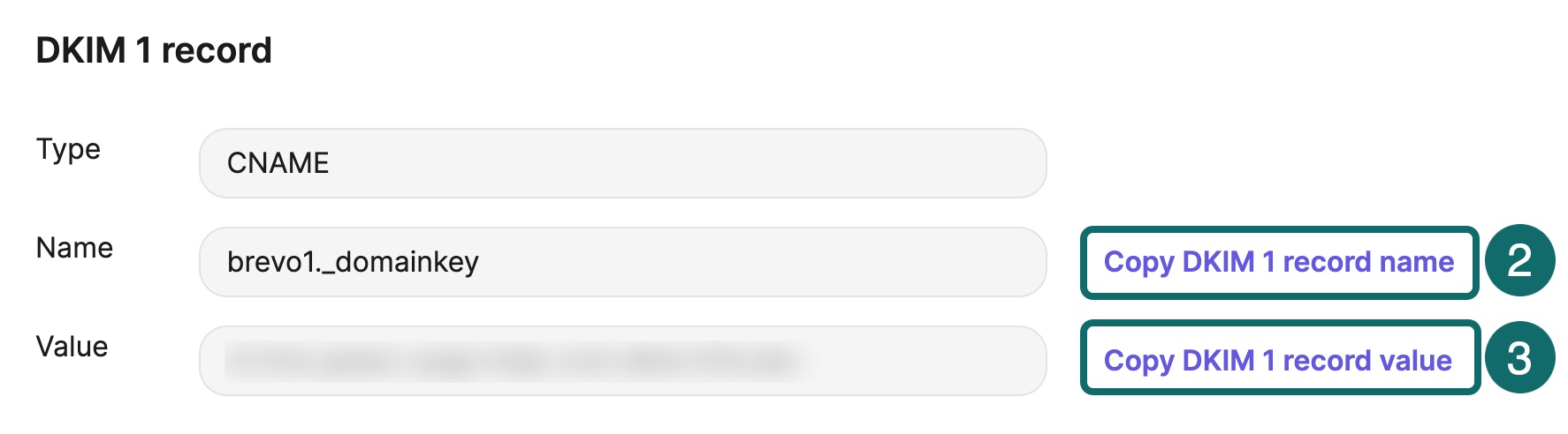 Brevo domain authentication record area showing a DKIM record
