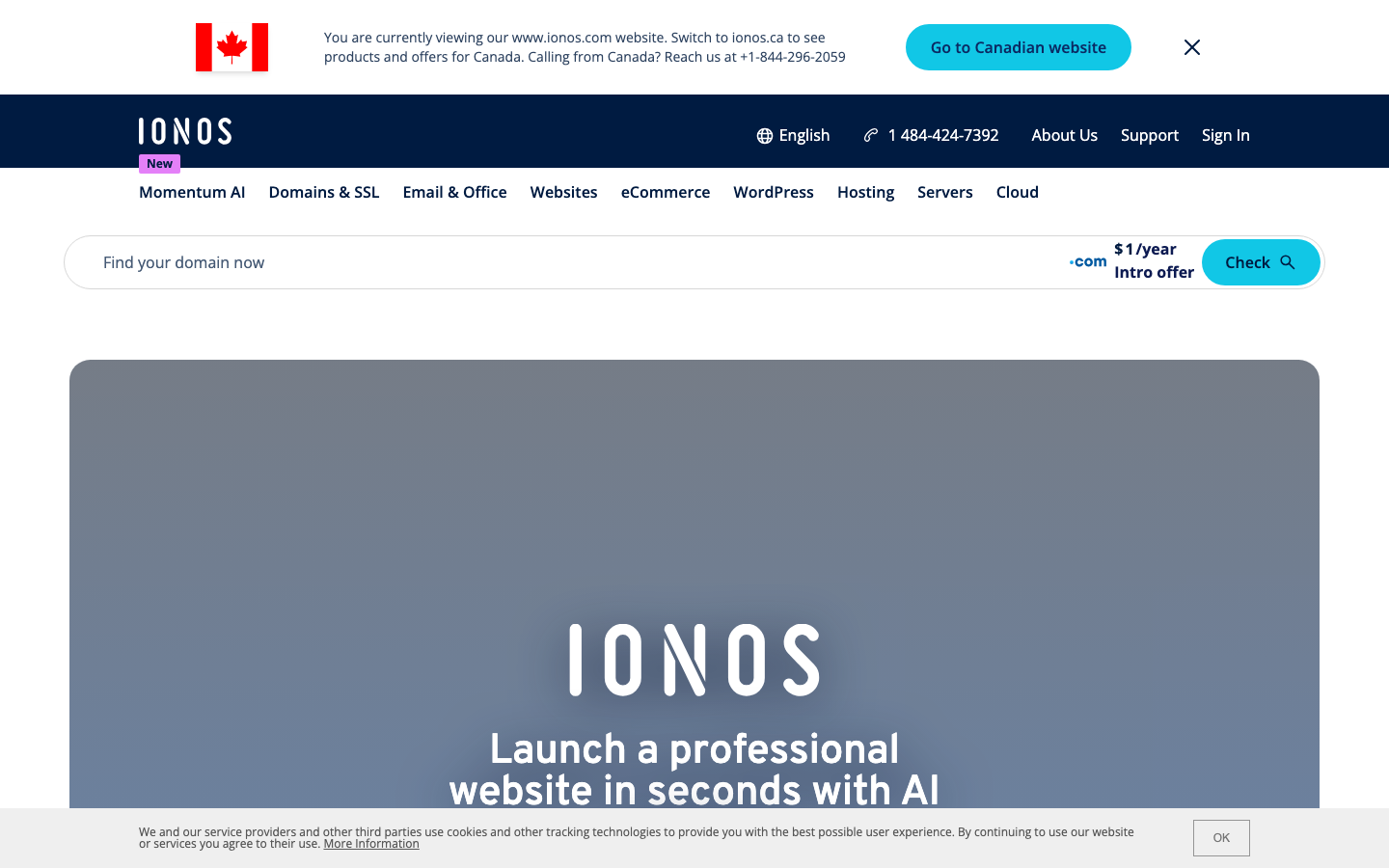 IONOS product overview for domain and email services