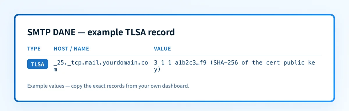 Record card showing an example SMTP DANE TLSA record with its host and 3 1 1 value fields.